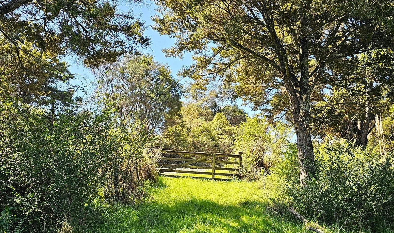 RURAL GEM CLOSE TO OKAIHAU