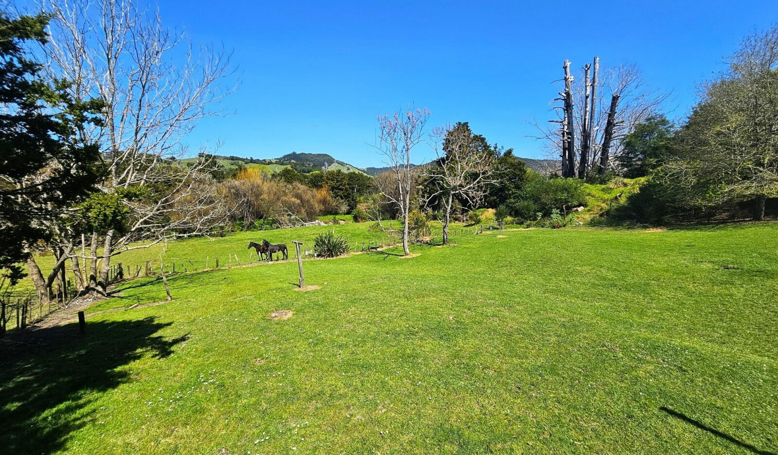 RURAL GEM CLOSE TO OKAIHAU