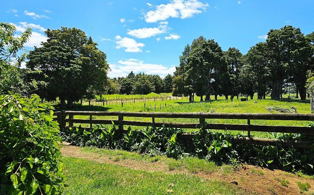 Price Refresh: Large Rural Homestead with old shearing shed