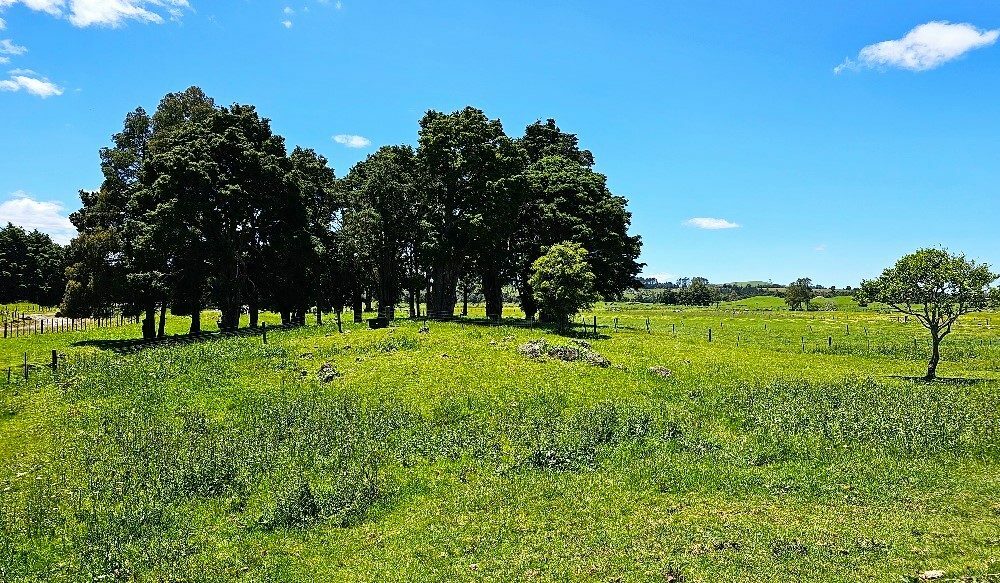 Price Refresh: Large Rural Homestead with old shearing shed