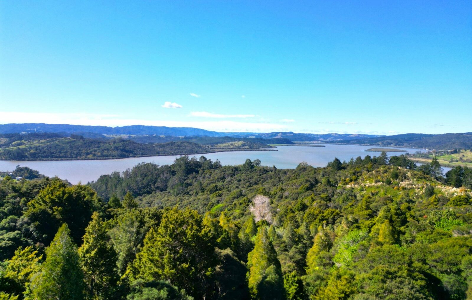 Lovely Elevated Harbour Views Kohukohu