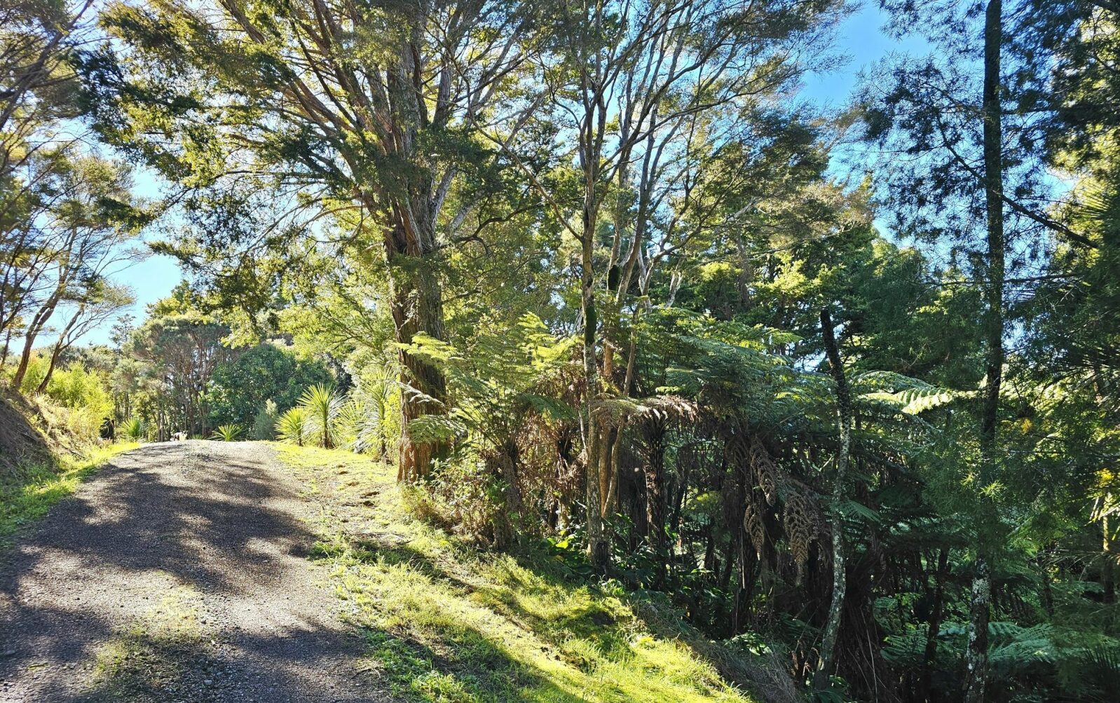 Lovely Elevated Harbour Views Kohukohu