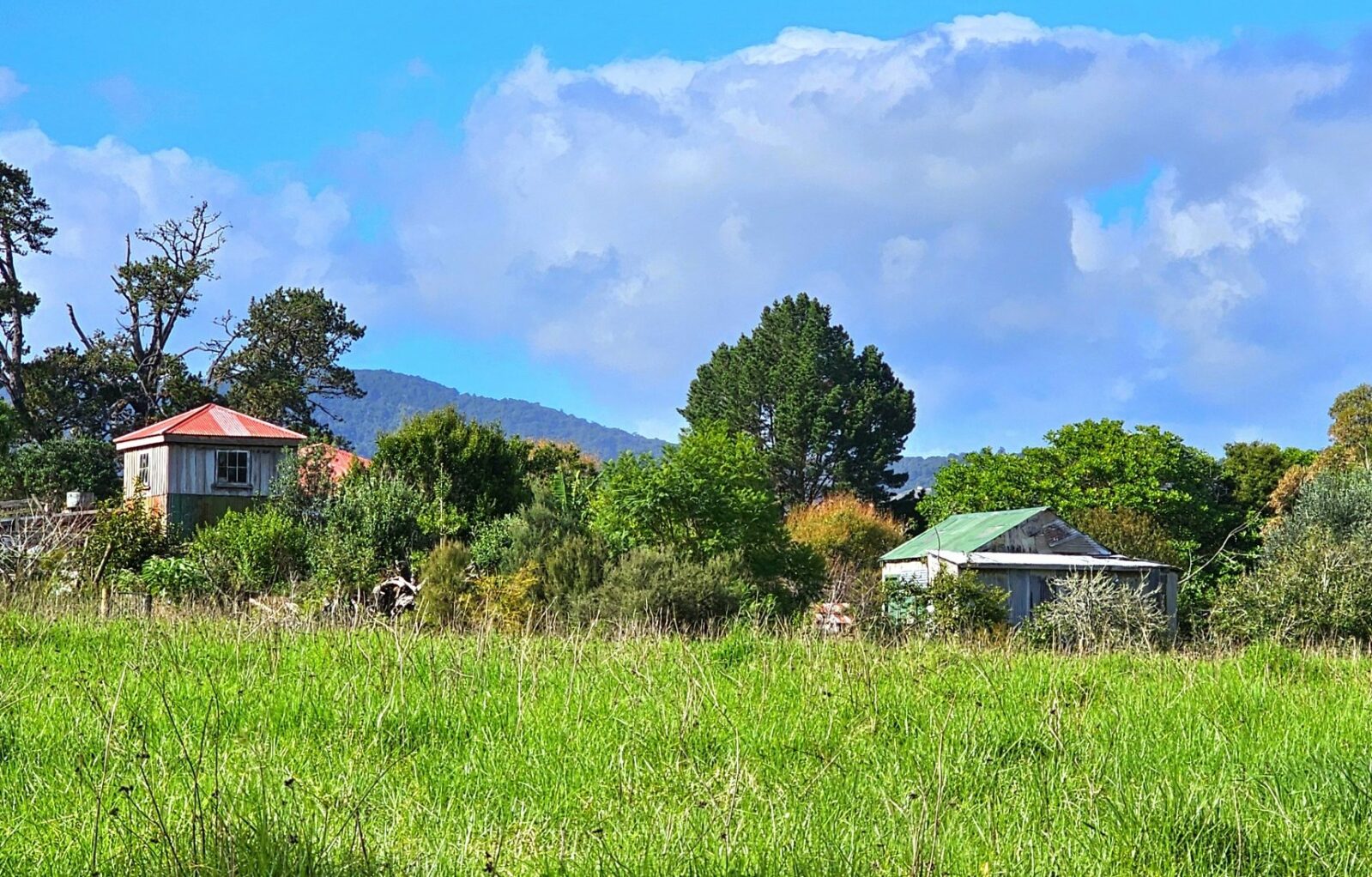 Rural living, Waimamaku