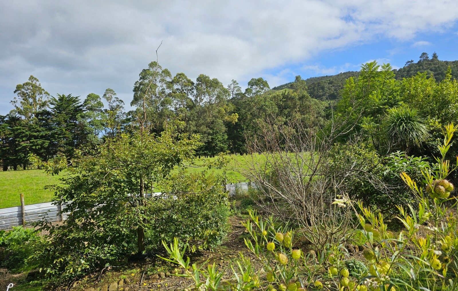 Rural living, Waimamaku