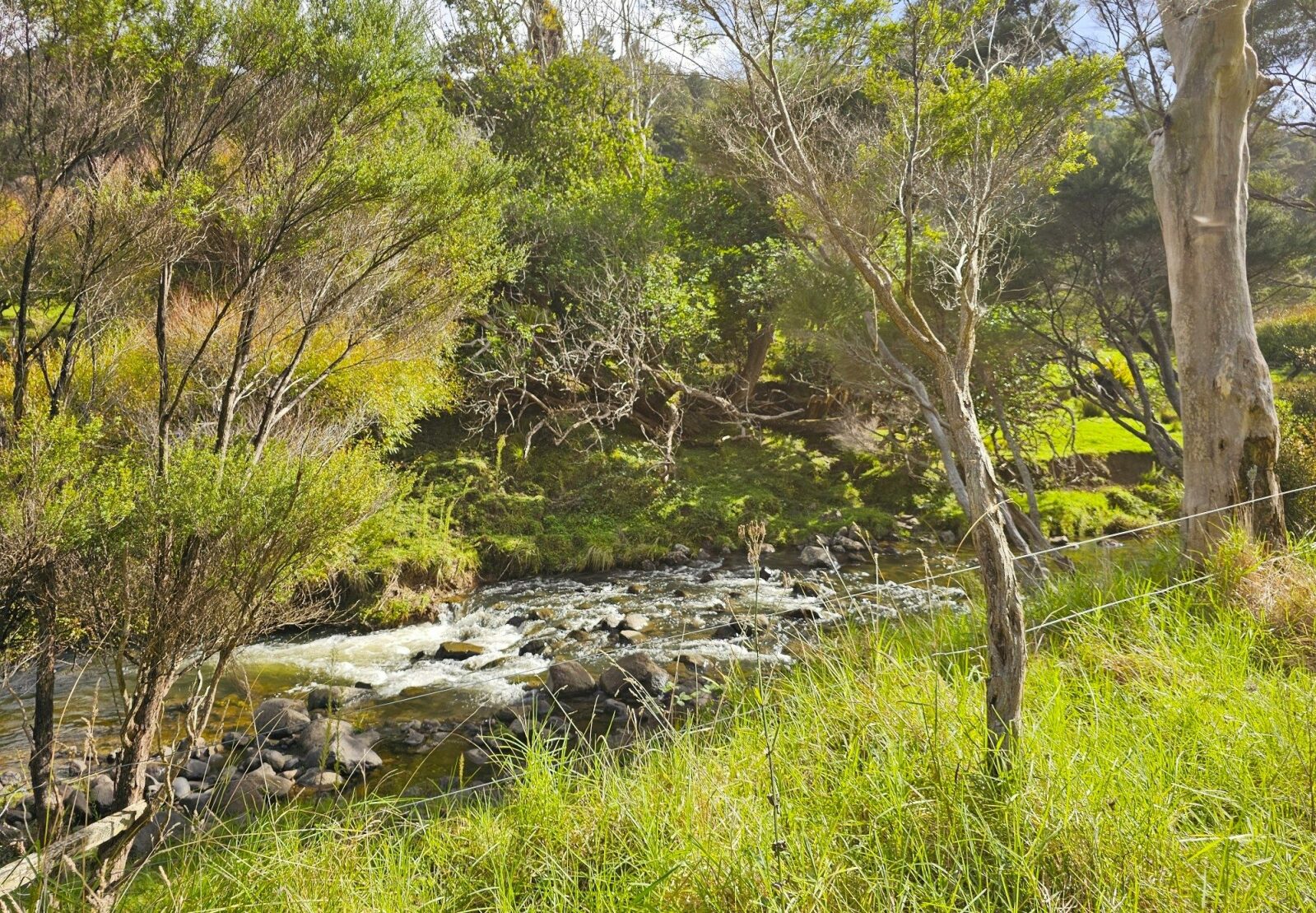 Rural living, Waimamaku