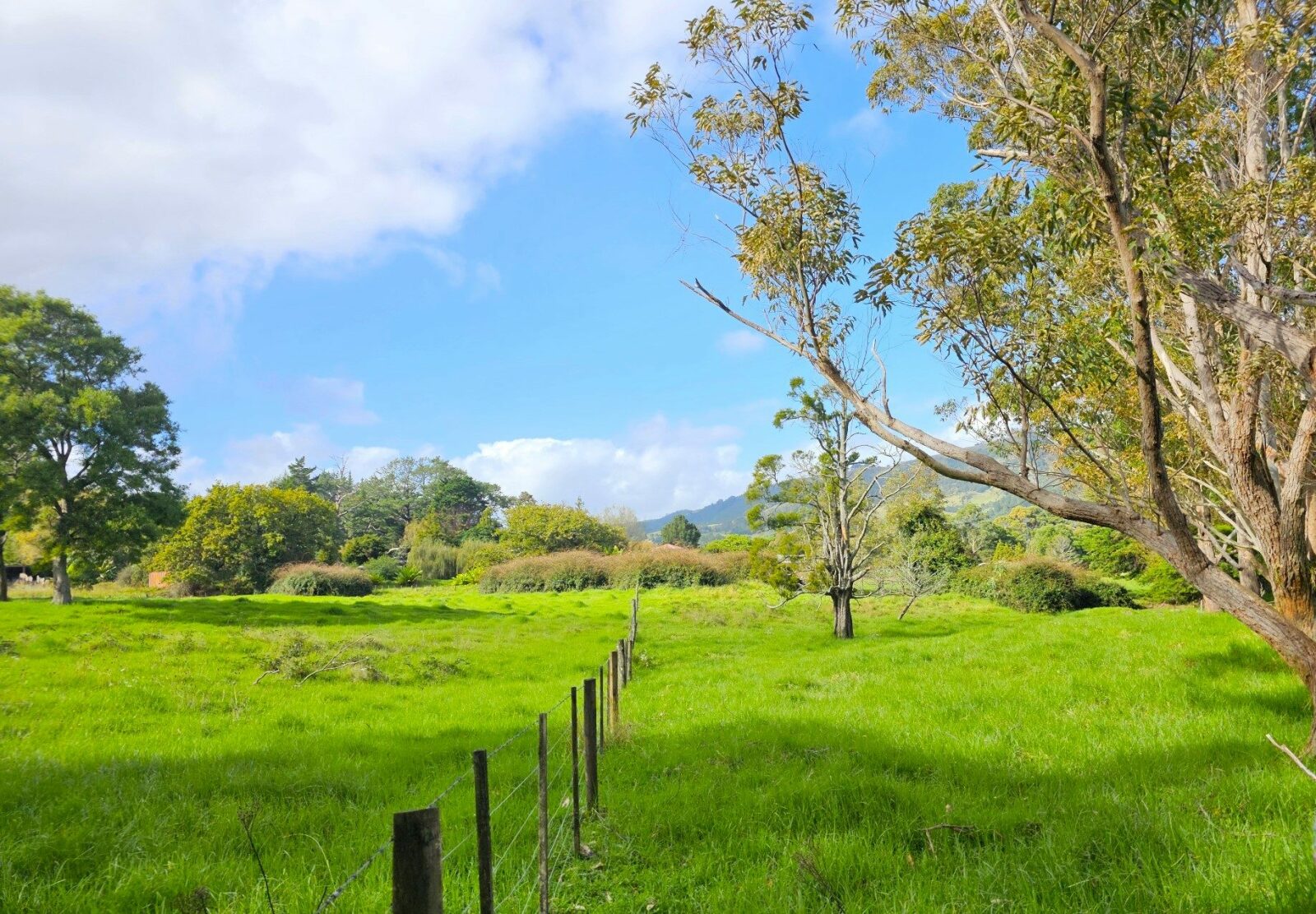 Rural living, Waimamaku