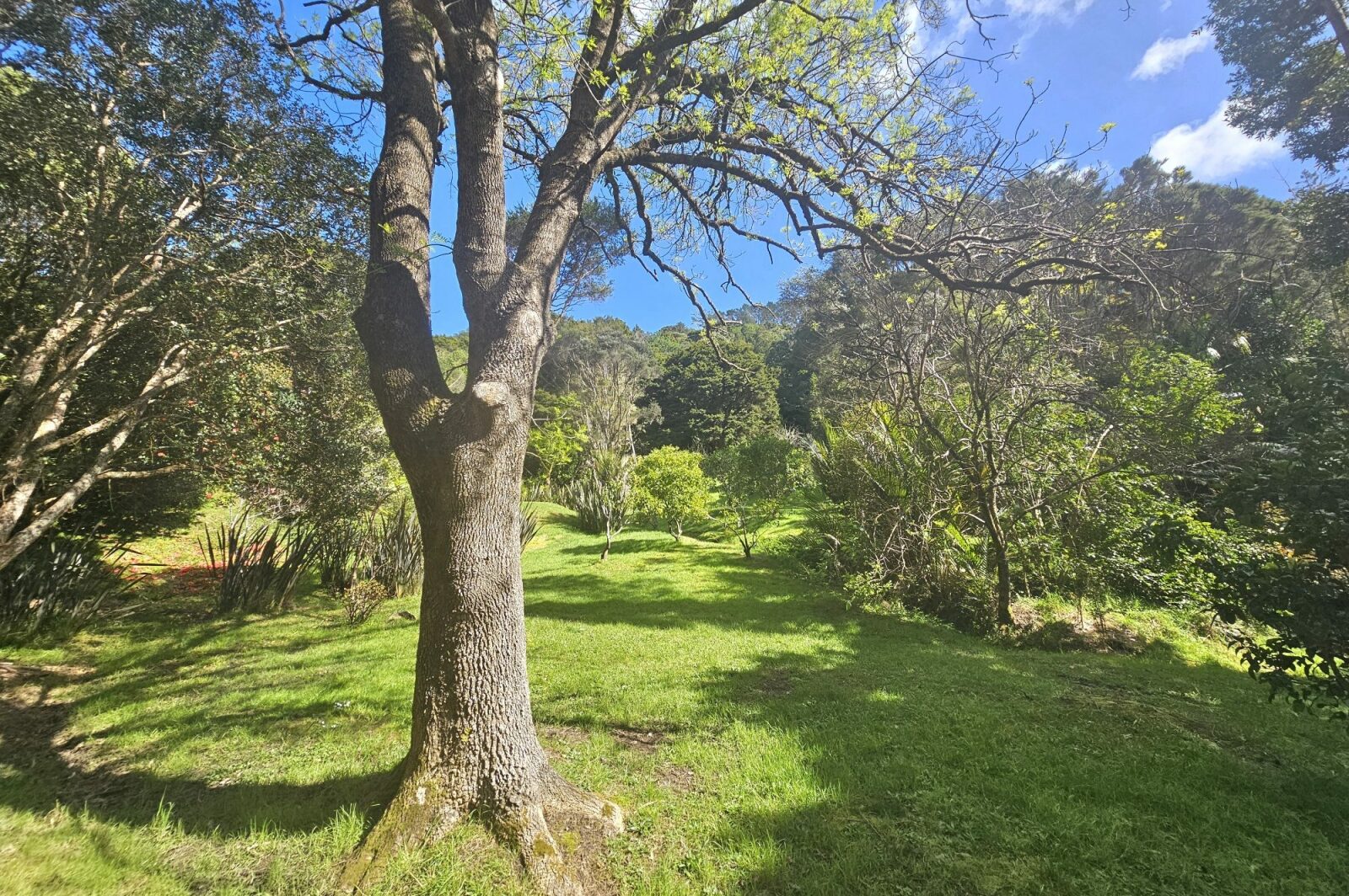 Escape to Your Bush Retreat in Kohukohu Township!