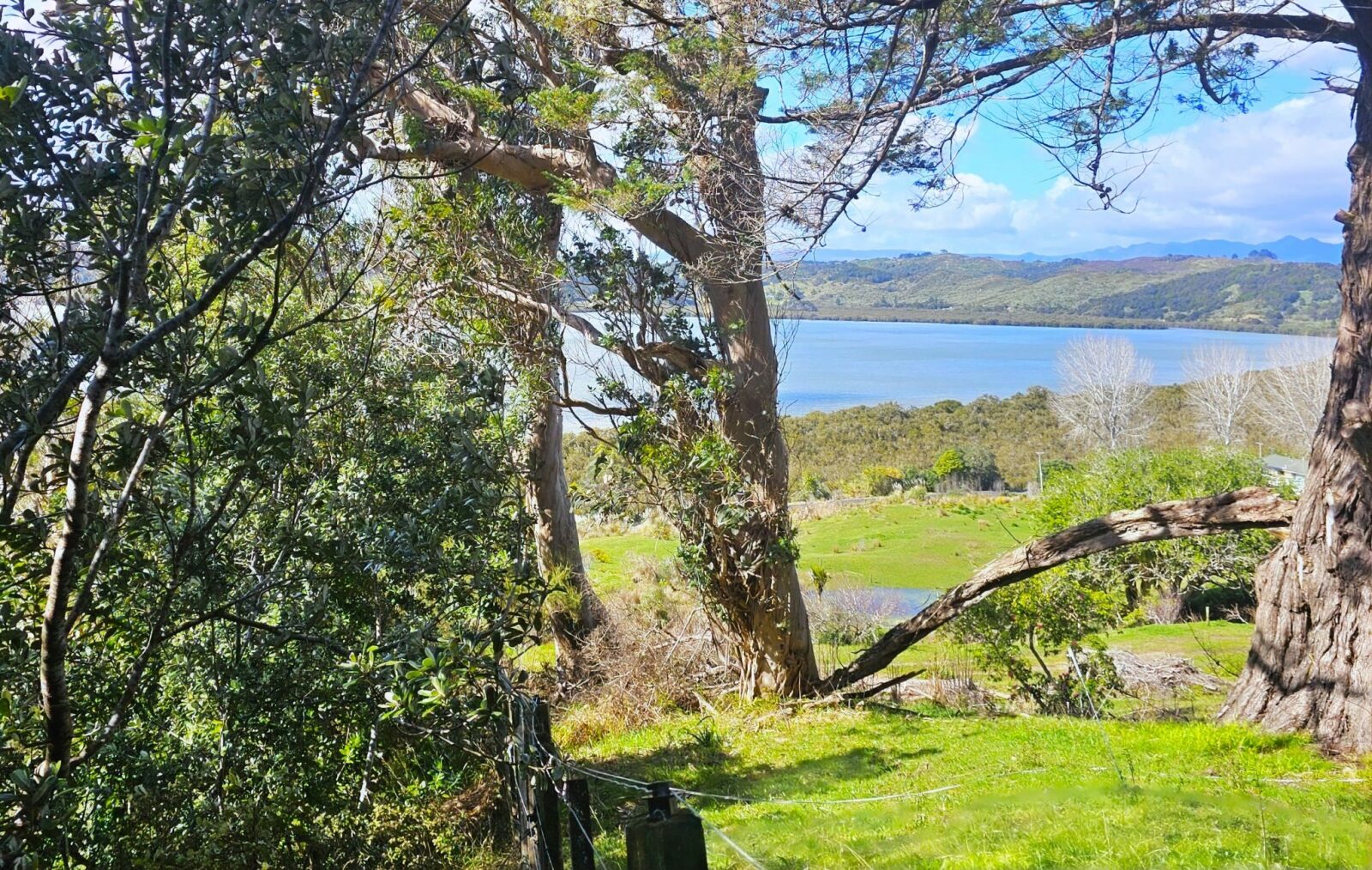 Escape to Your Bush Retreat in Kohukohu Township!