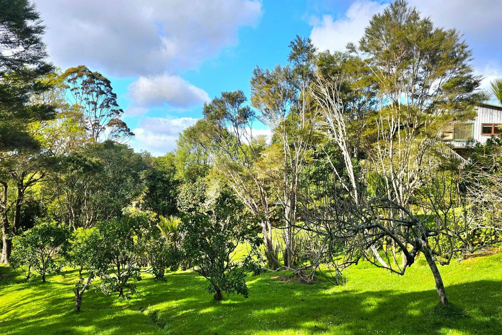 Escape to Your Bush Retreat in Kohukohu Township!