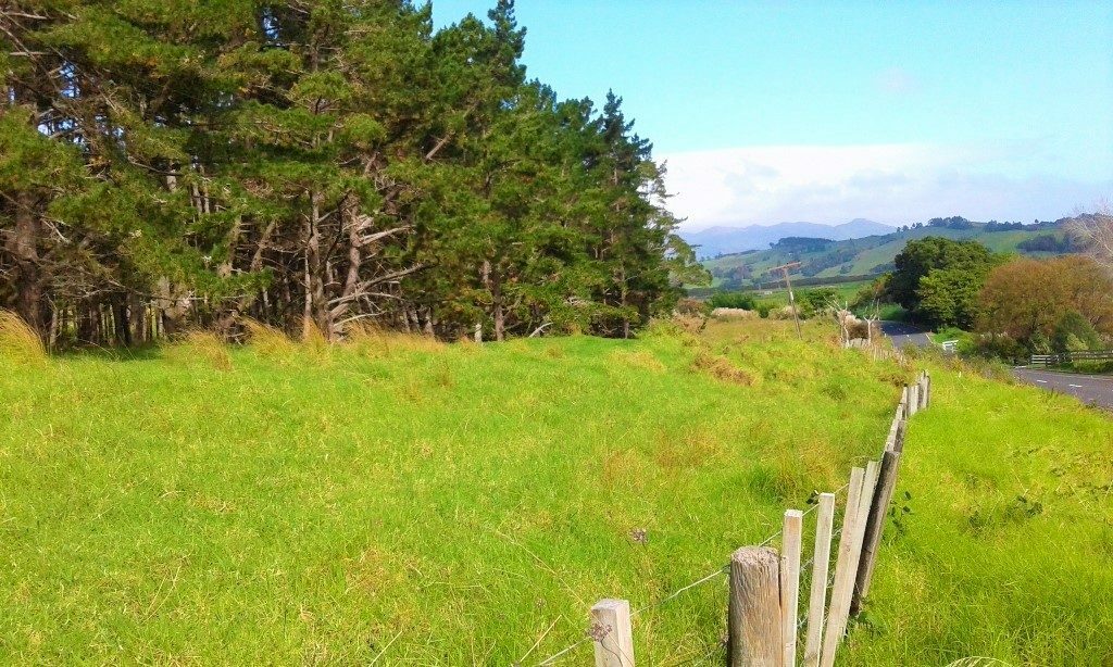 Lifestyle and Forestry, Prime Pine Block