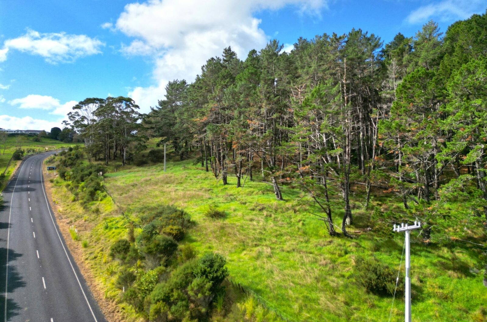 Lifestyle and Forestry, Prime Pine Block