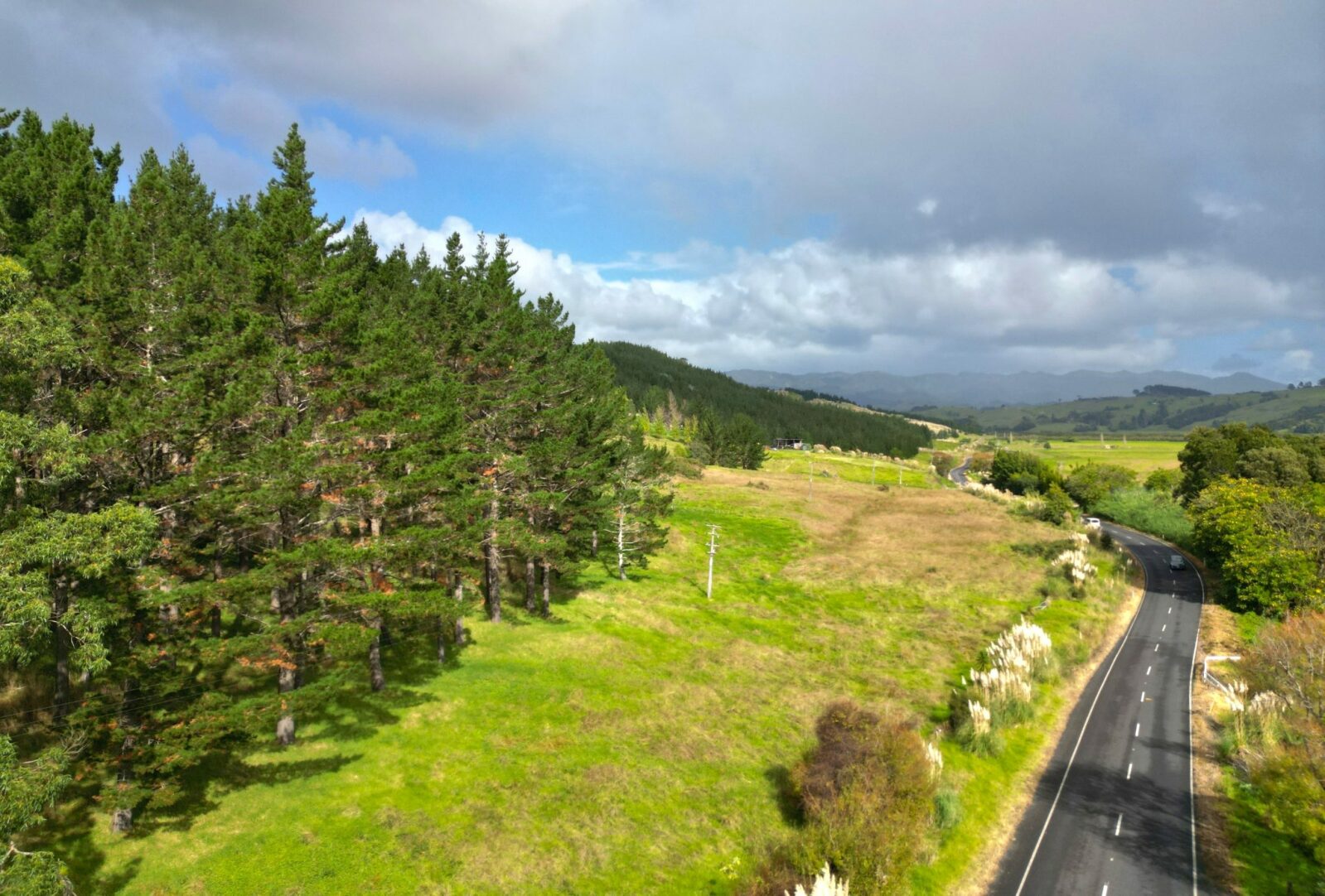 Lifestyle and Forestry, Prime Pine Block