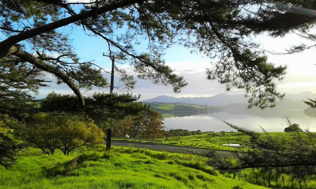 Lifestyle and Forestry, Prime Pine Block