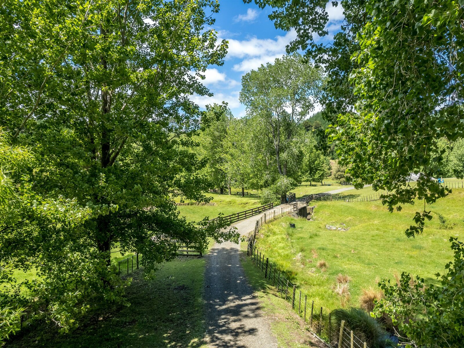 Horse/Cattle Breeding Stud, Home & Infrastructure