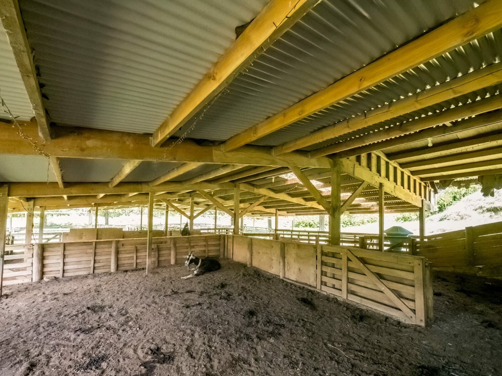 Horse/Cattle Breeding Stud, Home & Infrastructure