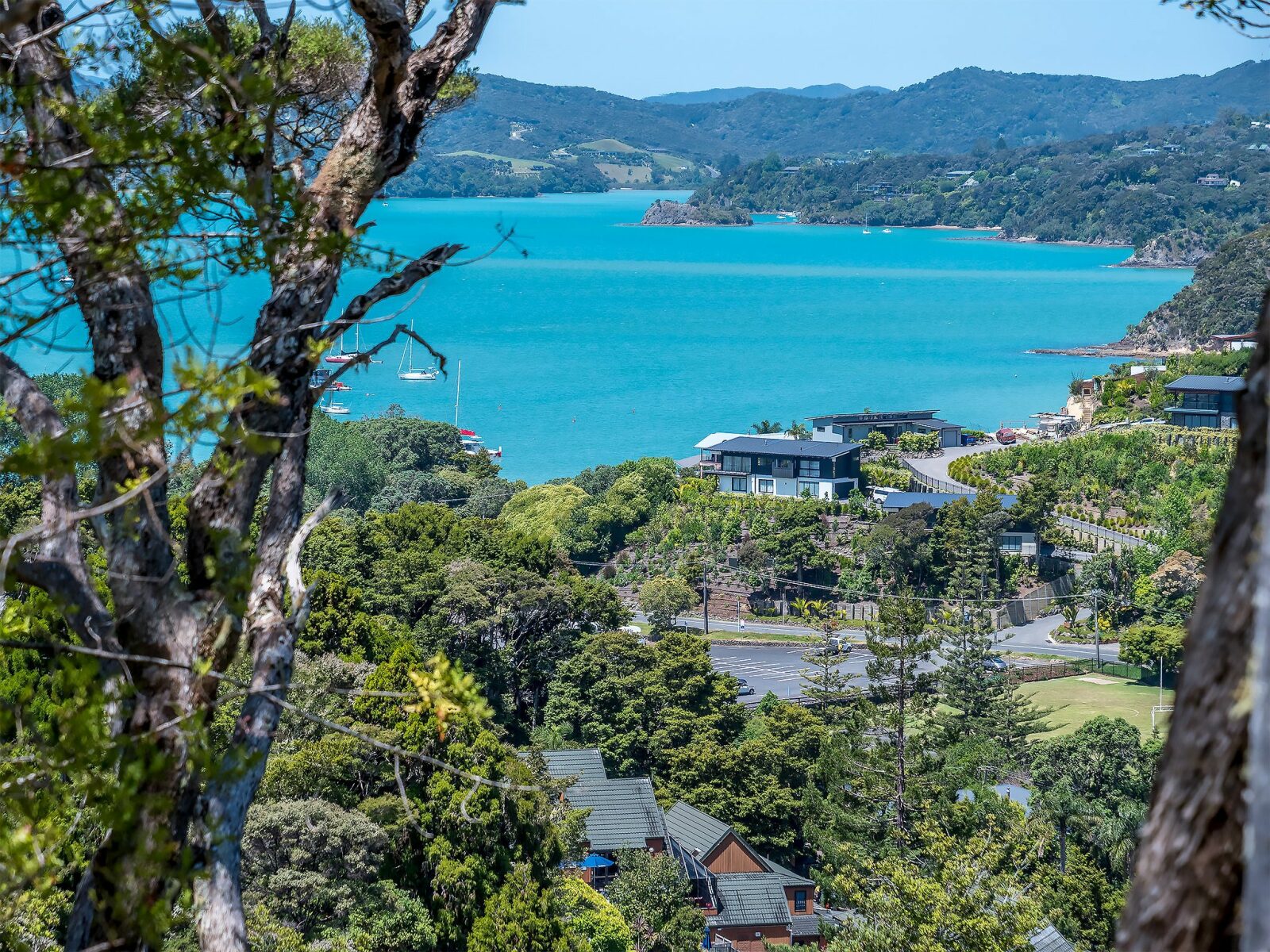 Build Your Dream Home at Tree Tops, Paihia