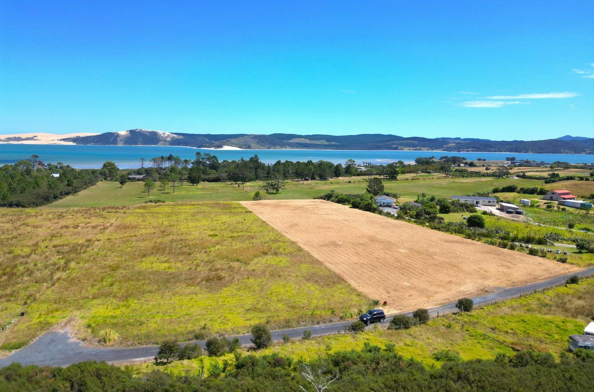 Coastal Section Close to Opononi