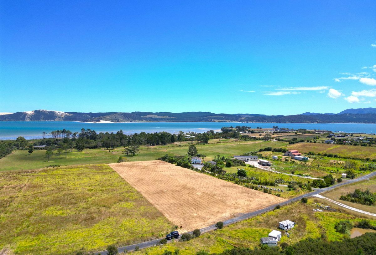 Coastal Section Close to Opononi